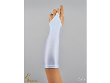 133 an4200z-00025.jpg