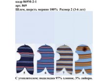 869-2-1.jpg
