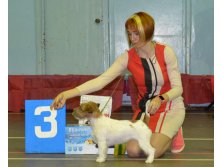 DSC 035700ю3.jpg