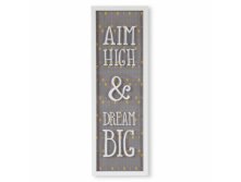    Aim high & dream big 744 (1860).jpeg