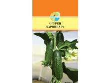 ОГУРЕЦ БАРВИНАF1 45+%