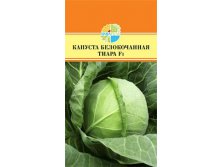 КАПУСТА БЕЛОКОЧАННАЯ ТИАРА F1 24.60+%