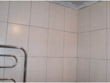 SL279687.JPG