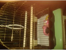 2015-12-12 15.21.23.jpg