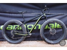 Fat-caad-1-1024x682.jpg