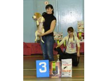 DSC 033400щ3.jpg