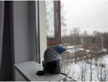 IMG 0373.jpg