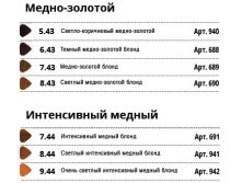 7 -     -       Studio Professiona.jpg