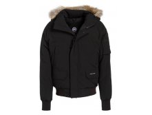  CANADA GOOSE  0917.jpg