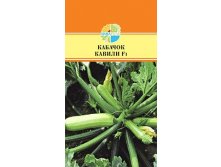 КАБАЧОК КАВИЛИF1 31.80+%
