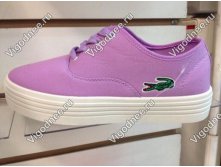 15066      Lacoste  -488 .jpg