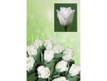 Смирнофф  43 руб.  Заказ кратно 10 шт!!!