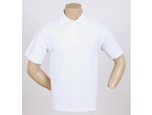 Футболка поло (Т-007 ) 320 р..jpg