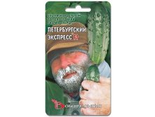 Огурец Петербургский Экспресс F1. 8 шт. 22 руб.jpg
