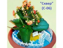 С-06 Сквер_320+%