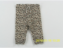 Image011.png