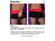 Porcher .jpg