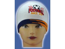 Шапка для мальчиков SKM 409 180р