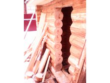 IMG 20160127 104951.jpg