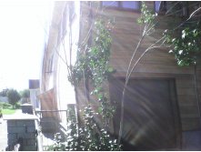 IMG 20150811 080455.jpg
