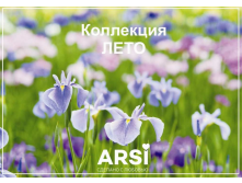 Лето2016.png