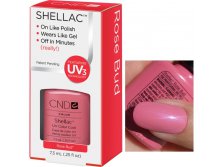 Shellac.Rose Bud