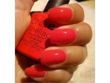 Shellac.Lobster Roll