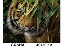 GX7418 Взгляд хищника.jpg