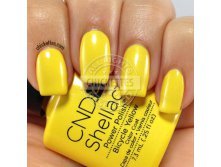 Shellac.Bicycle Yellow ...