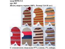 869М-3-4.jpg