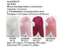 818Д-11.jpg