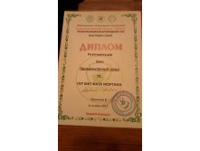 Диплом 21.10.2012.jpg