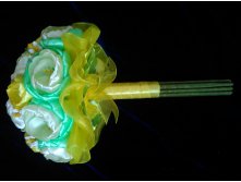 IMG 20160324 091237.jpg