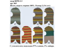 869М-2-3.jpg