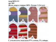 869Д-2-2.jpg
