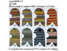 869М-1-3.jpg