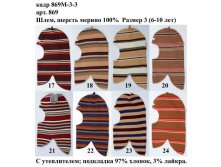 869М-3-3.jpg