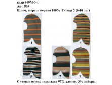 869М-3-1.jpg