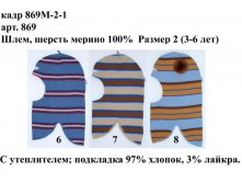 869М-2-1.jpg