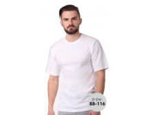 Футболка муж.107276(106221) -цена 219.jpg