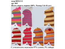 869Д-3-2.jpg