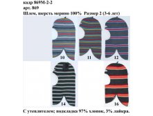 869М-2-2.jpg