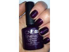 Shellac.Plum Paisley