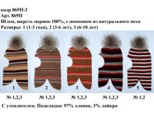 869П-2.jpg