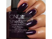 Shellac.Plum Paisley..