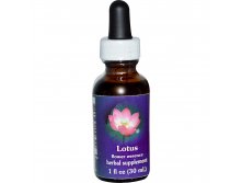 Flower Essence Services, Lotus, Flower Essence, 1 fl oz (30 ml)