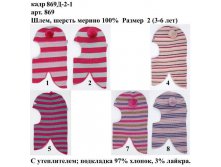 869Д-2-1.jpg