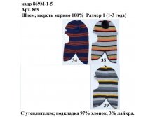 869М-1-5.jpg
