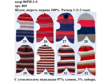 869М-1-4.jpg