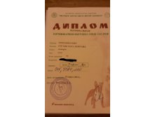 Диплом 18.03.2012.jpg